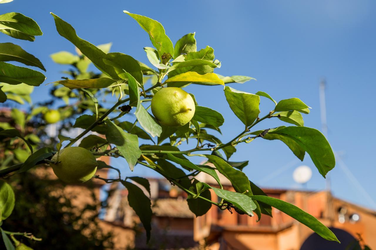 Trastevere Apartments ローマ エクステリア 写真